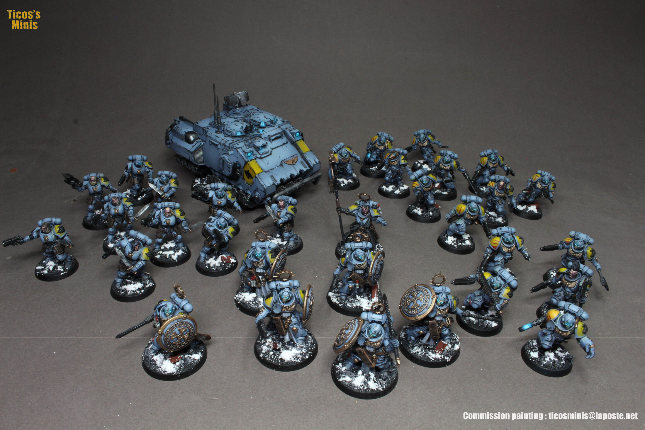 Space Wolves Reinforcements Force