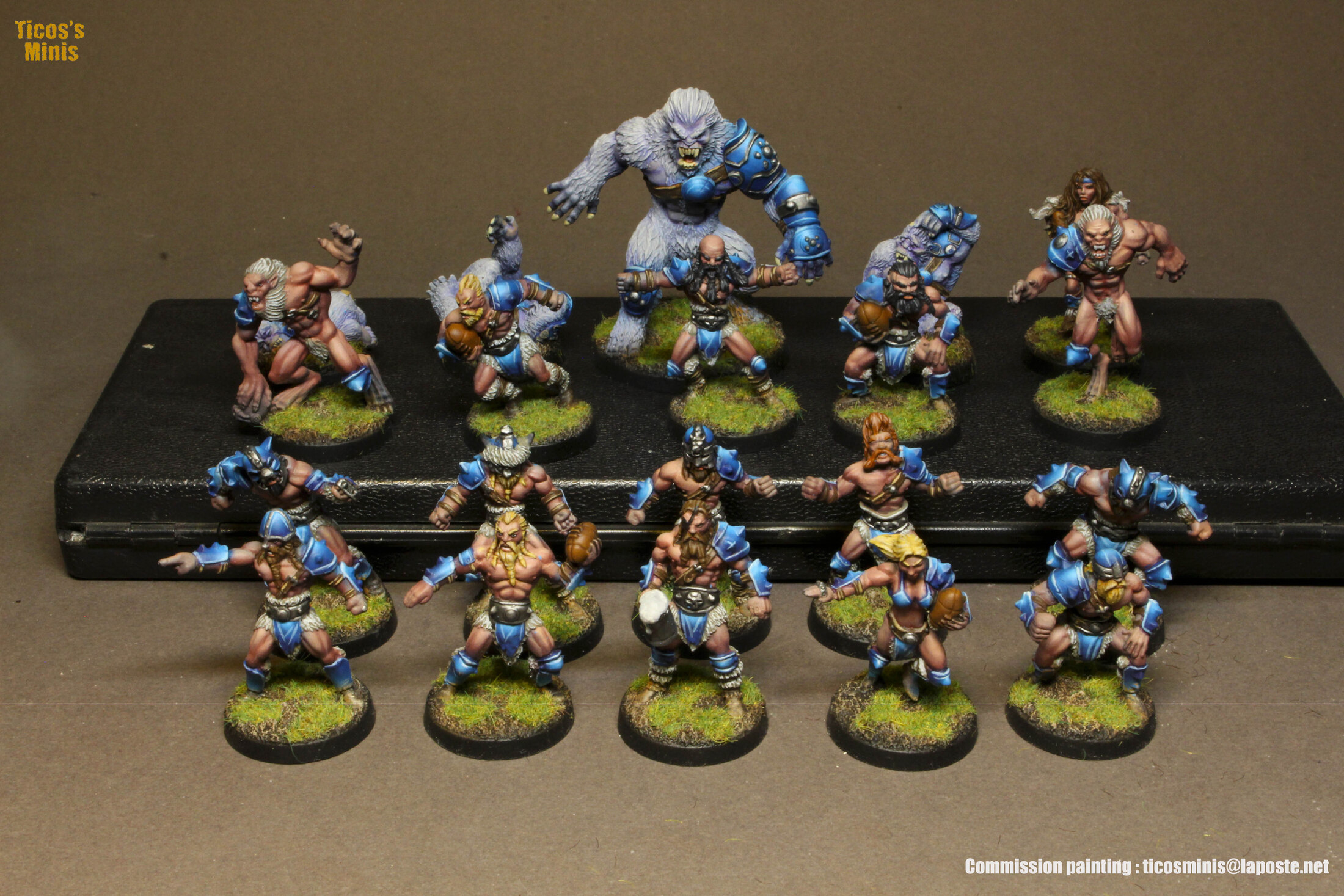 Nordic Bloodbowl team