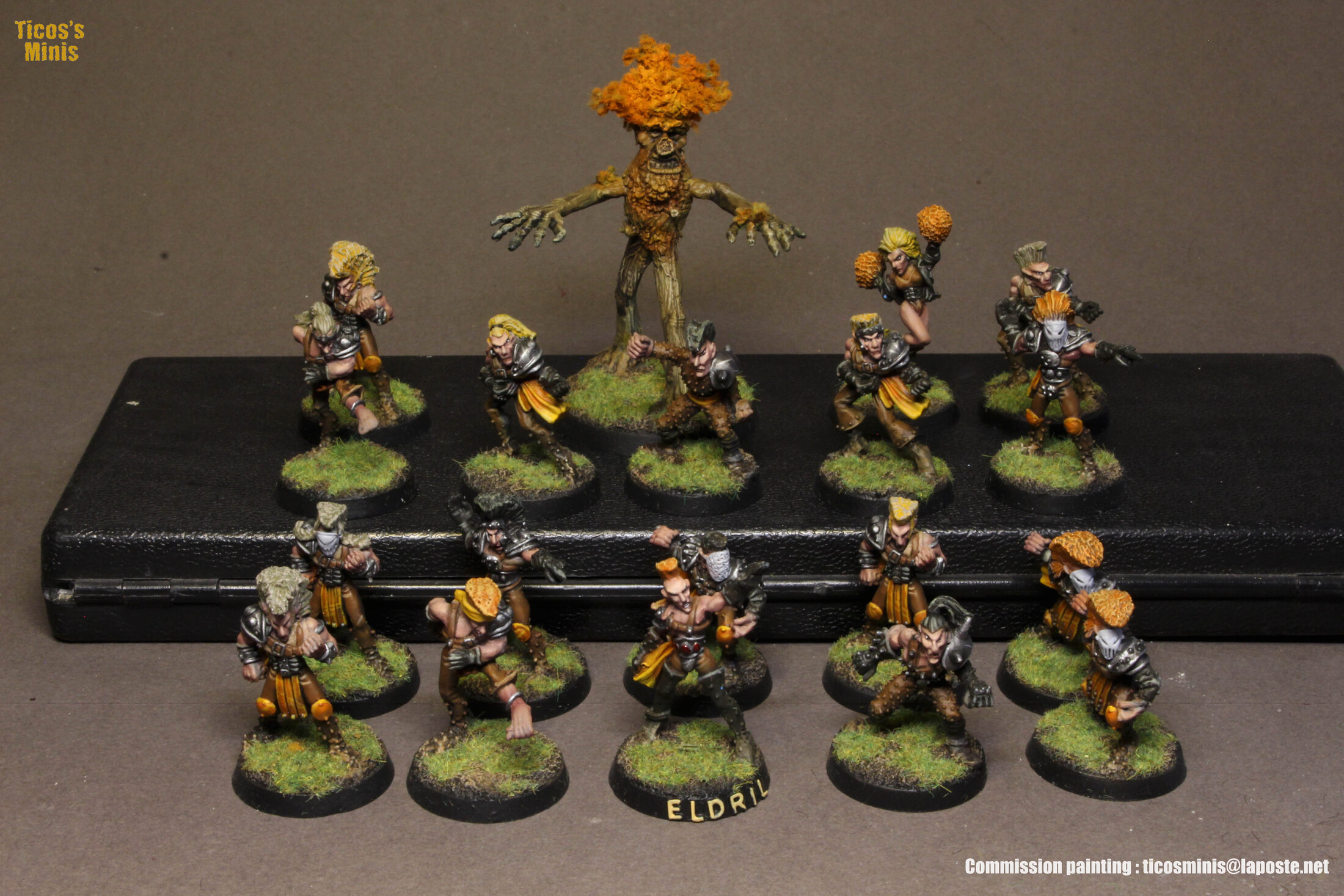 Eleven bloodbowl team